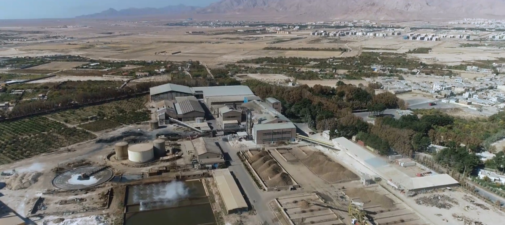 پایان دوره بهره‌برداری چغندر قند سال ۱۴۰۴ در کارخانه شکر شاهرود